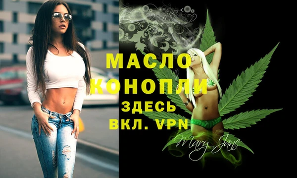 дживик Абинск