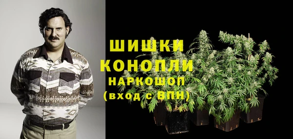 apvp Осинники
