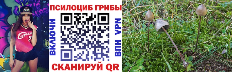 закладки  Лесозаводск  гидра ONION  Галлюциногенные грибы прущие грибы 